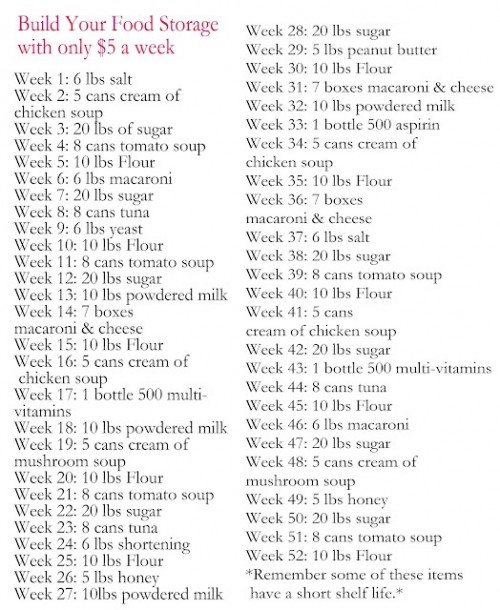 Year Supply for under 5 bucks a week Tells you exactly what to buy each week 500x610 Starting an Emergency Food Supply