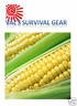 FREEZE DRIED SWEET CORN SURVIVAL FOOD ~ 1 CASE