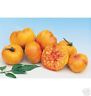 HEIRLOOM STRIPED GERMAN TOMATO 25 SEEDS SUPER DELICIOUS