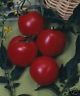 ARKANSAS TRAVELER HEIRLOOM TOMATO 30 SEEDS SUPER TASTY