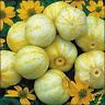 TRUE LEMON CUCUMBER HEIRLOOM 35 SEEDS GREAT FOR SLICING