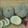 JENNY LIND MELON 30 SEEDS EXCELLENT TASTE, OLD HEIRLOOM