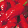 MELROSE PEPPER 20 SEEDS A DELIGHTFULLY SWEET PEPPER