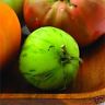 GREEN ZEBRA TOMATO 25 SEEDS FOR SUPERB FLAVOR TRY THIS