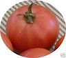 GRACE LAHMAN'S PINK HEIRLOOM TOMATO SEEDS HUGE YIELDS