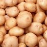 1 Case Dehydrated Potato Combo Emergency Survival Food