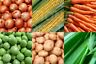 Freeze Dried Veggies Dehydrated Vegetable Survival Food