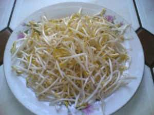 Sprouts
