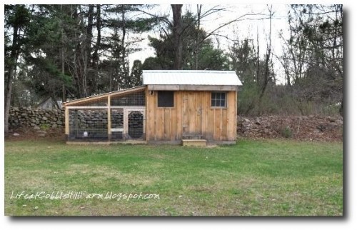 Chicken Coops